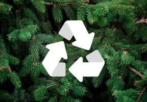 Lawndale News Chicago's Bilingual Newspaper - Local News