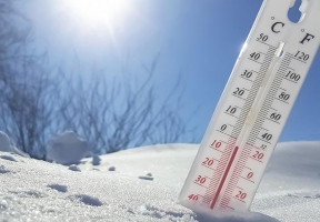 Lawndale News Chicago's Bilingual Newspaper - Health