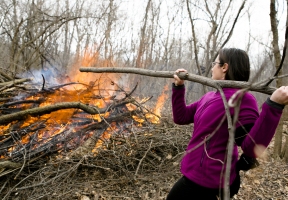 Lawndale News Chicago's Bilingual Newspaper - Local News