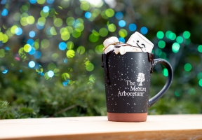 Lawndale News Chicago's Bilingual Newspaper - Local News