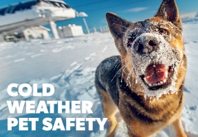 Lawndale News Chicago's Bilingual Newspaper - Health