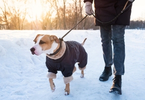 Lawndale News Chicago's Bilingual Newspaper - Health