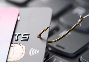 Lawndale News Chicago's Bilingual Newspaper - Business