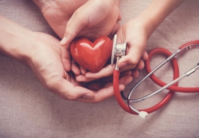 Lawndale News Chicago's Bilingual Newspaper - Health