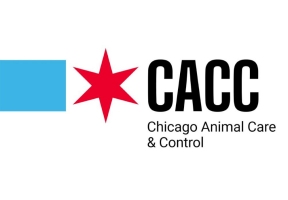 Lawndale News Chicago's Bilingual Newspaper - Business