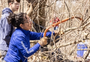 Lawndale News Chicago's Bilingual Newspaper - Local News