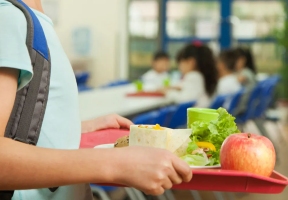 Lawndale News Chicago's Bilingual Newspaper -  Education