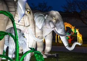 Lawndale News Chicago's Bilingual Newspaper - Local News