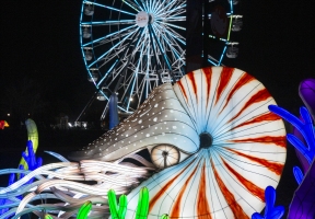 Lawndale News Chicago's Bilingual Newspaper - Local News