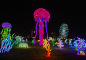 Lawndale News Chicago's Bilingual Newspaper - Local News