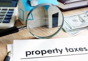 Lawndale News Chicago's Bilingual Newspaper - Business