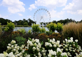 Lawndale News Chicago's Bilingual Newspaper - Local News