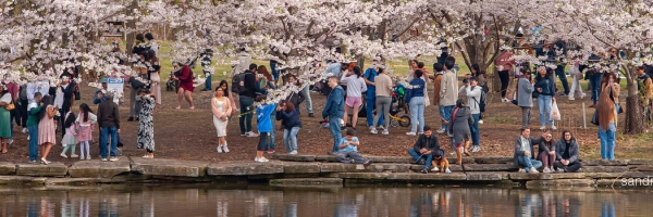Lawndale News Chicago's Bilingual Newspaper - Local News
