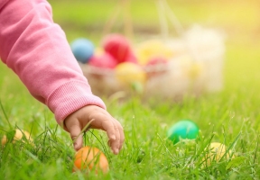 Lawndale News Chicago's Bilingual Newspaper - Local News