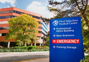 Lawndale News Chicago's Bilingual Newspaper - Health