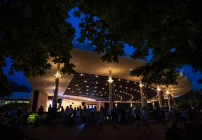 Lawndale News Chicago's Bilingual Newspaper - Local News