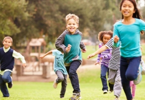 Lawndale News Chicago's Bilingual Newspaper - Health