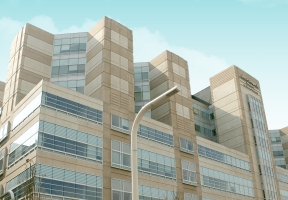 Lawndale News Chicago's Bilingual Newspaper - Health