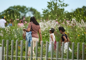 Lawndale News Chicago's Bilingual Newspaper - Local News