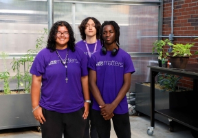 Lawndale News Chicago's Bilingual Newspaper - Education