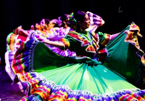 Lawndale News Chicago's Bilingual Newspaper - Local News