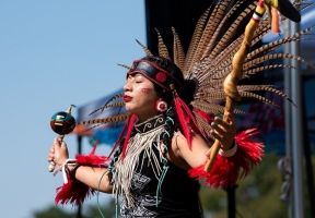 Lawndale News Chicago's Bilingual Newspaper - Local News